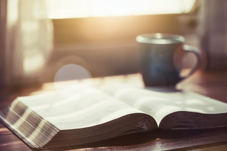 A Journey Through the History of the Bible